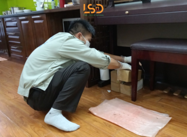 PHUN THUỐC MUỖI VÀ CÔN TRÙNG ĐỊNH KỲ – GIẢI PHÁP BẢO VỆ MÔI TRƯỜNG KINH DOANH HIỆU QUẢ