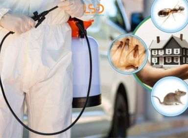 DIỆT CÔNG TRÙNG TẠI NHÀ – DỊCH VỤ KIỂM SOÁT CÔN TRÙNG CHUYÊN NGHIỆP TẠI TPHCM