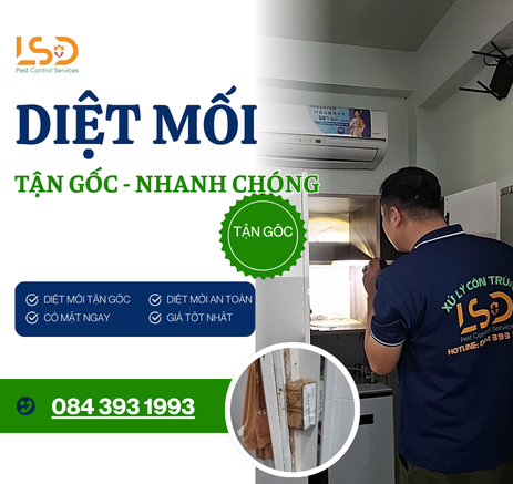 DỊCH VỤ DIỆT MỐI TẠI TP. HỒ CHÍ MINH – NHANH CHÓNG – GIÁ TỐT – 084 393 1993