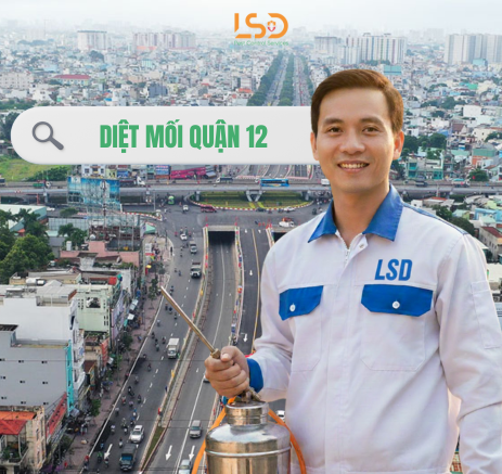 Công ty diệt mối quận 12 tận gốc