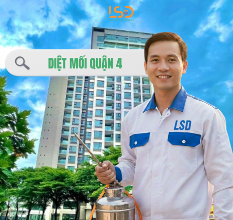 Dịch Vụ Diệt Mối Quận 4 Tận Gốc Bằng Sinh Học