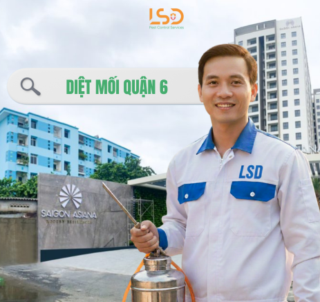 Dịch vụ diệt mối quận 6 tận gốc