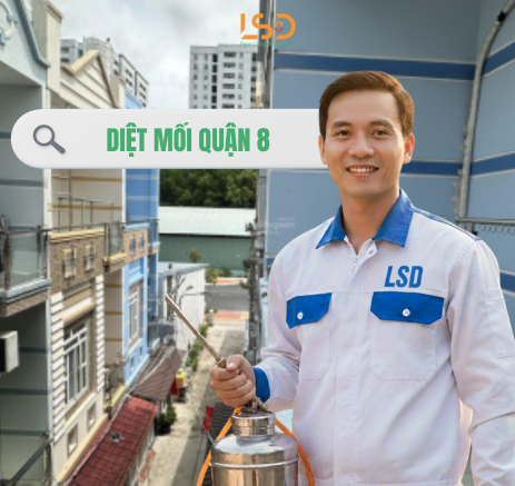 Dịch vụ diệt mối quận 8 tận gốc