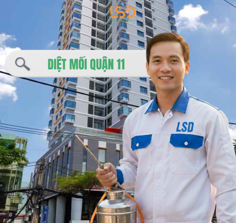 Dịch vụ diệt mối quận 11 tận gốc 100%
