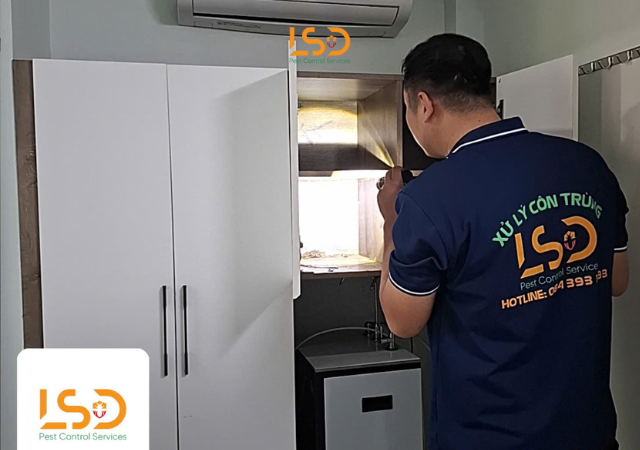 Phiếu bảo hành diệt mối bằng văn bản đỏ