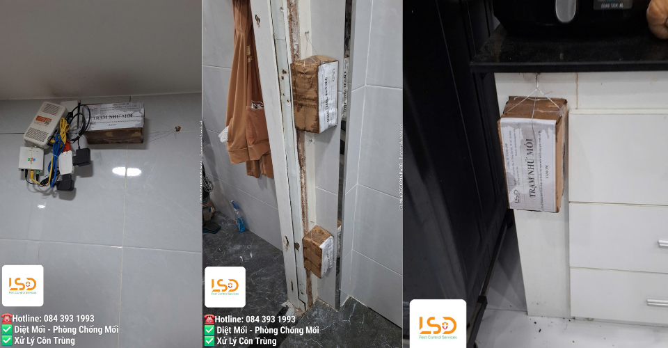 Diệt mối tận gốc an tâm