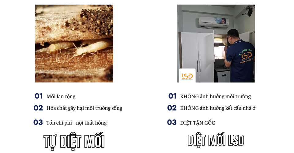 Diệt mối nhanh - chuyên nghiệp