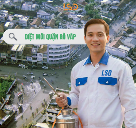Dịch vụ diệt mối Gò Vấp tận gốc