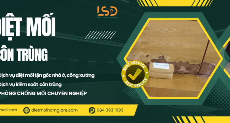 Hậu Quả Khi Tự Dùng Thuốc Diệt Mối? Hãy Bảo Vệ Ngôi Nhà Bạn Bằng Dịch Vụ Diệt Mối Chuyên Nghiệp Từ LSĐ