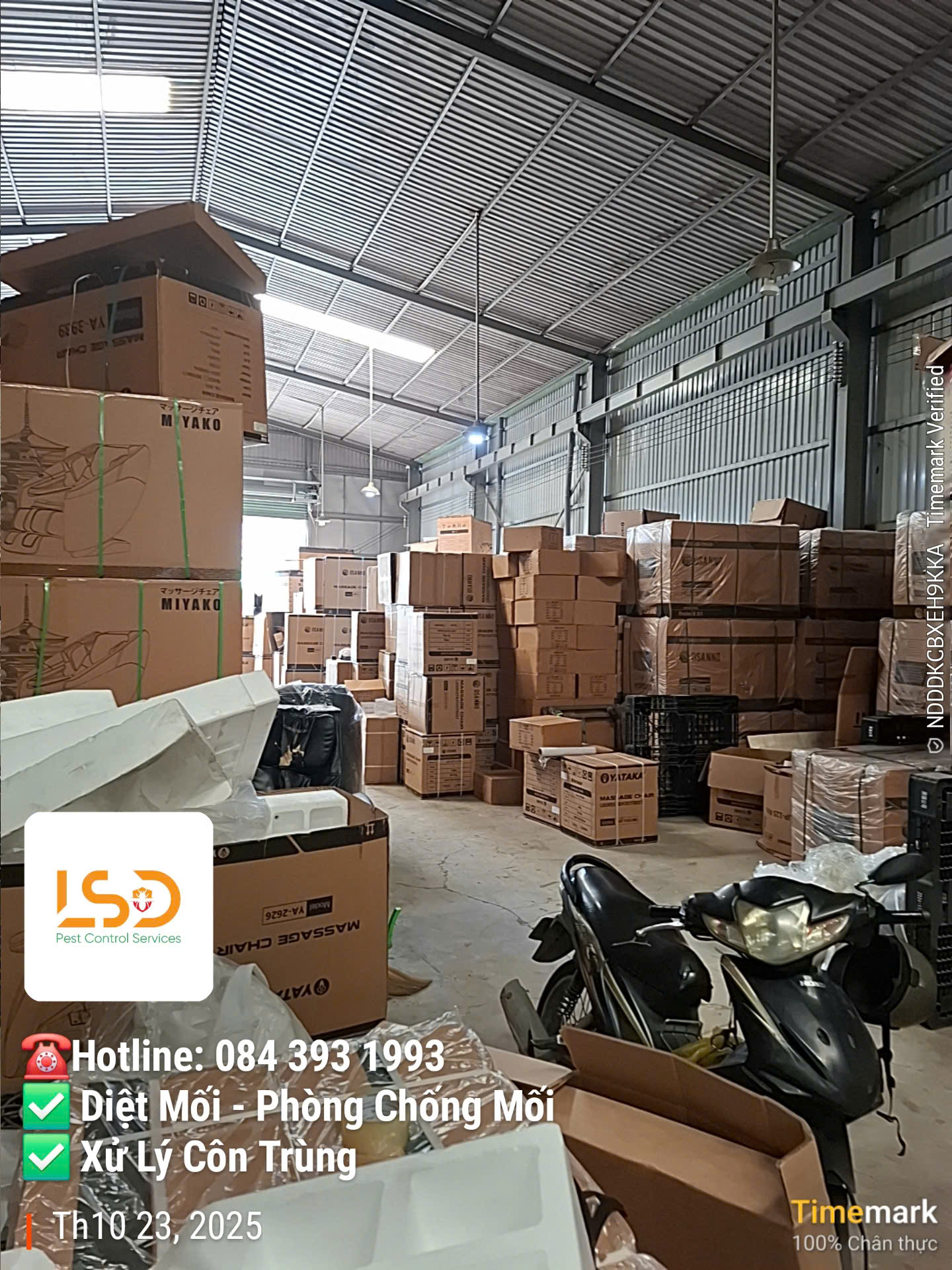 Dự án diệt mối tại xưởng may Phạm Văn Chiêu