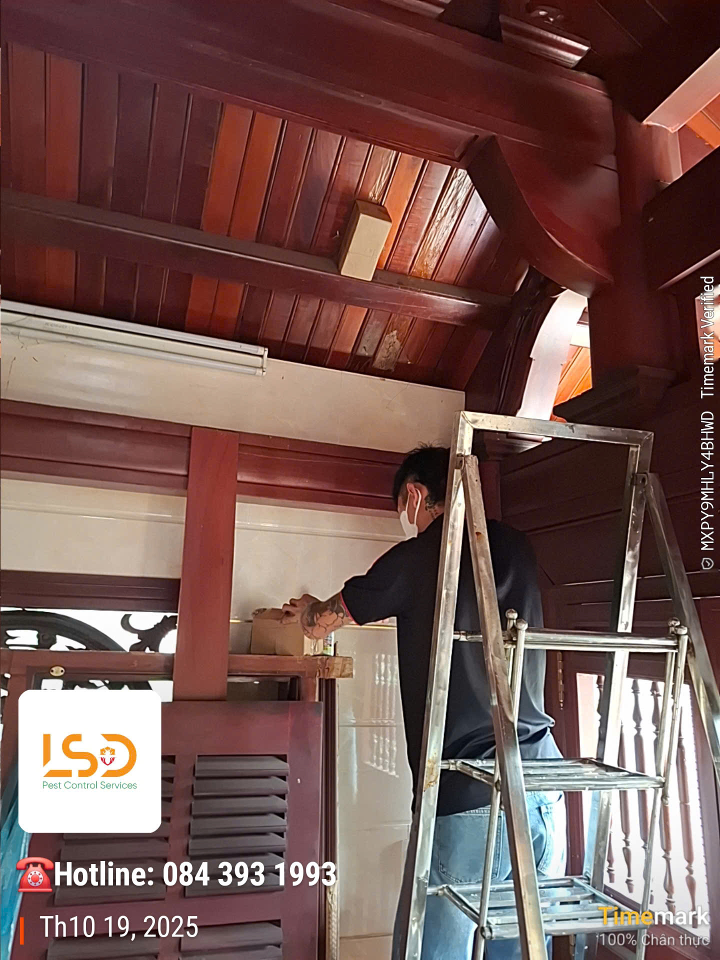 Xử lý mối ăn ngầm khung cửa gỗ lim
