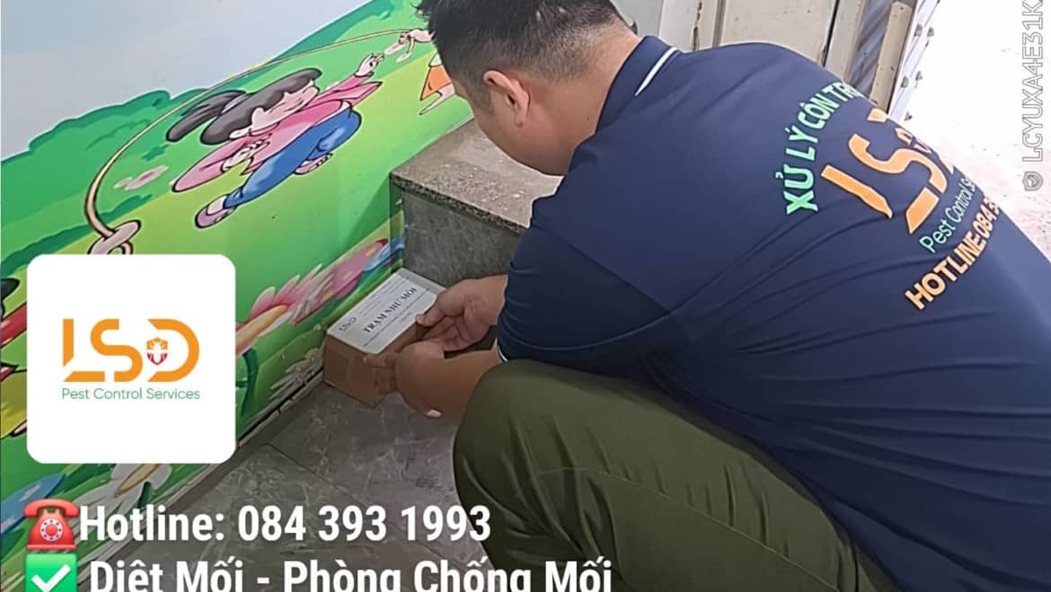 Dịch Vụ Diệt Mối Tận Gốc Tại TP.HCM – Hiệu Quả 100%, Bảo Hành Dài Hạn