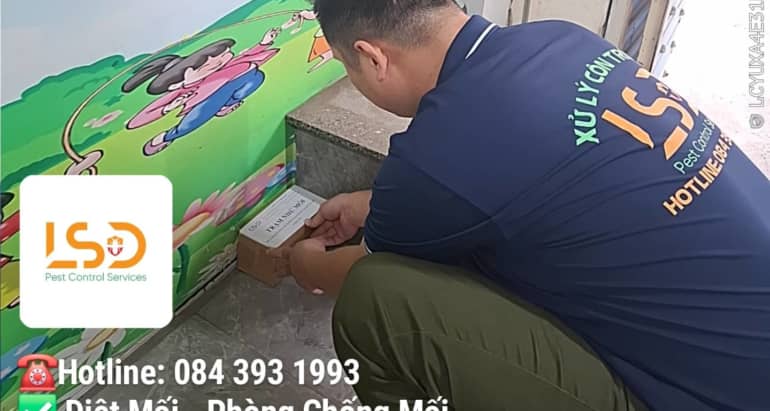Dịch Vụ Diệt Mối Tận Gốc Tại TP.HCM – Hiệu Quả 100%, Bảo Hành Dài Hạn