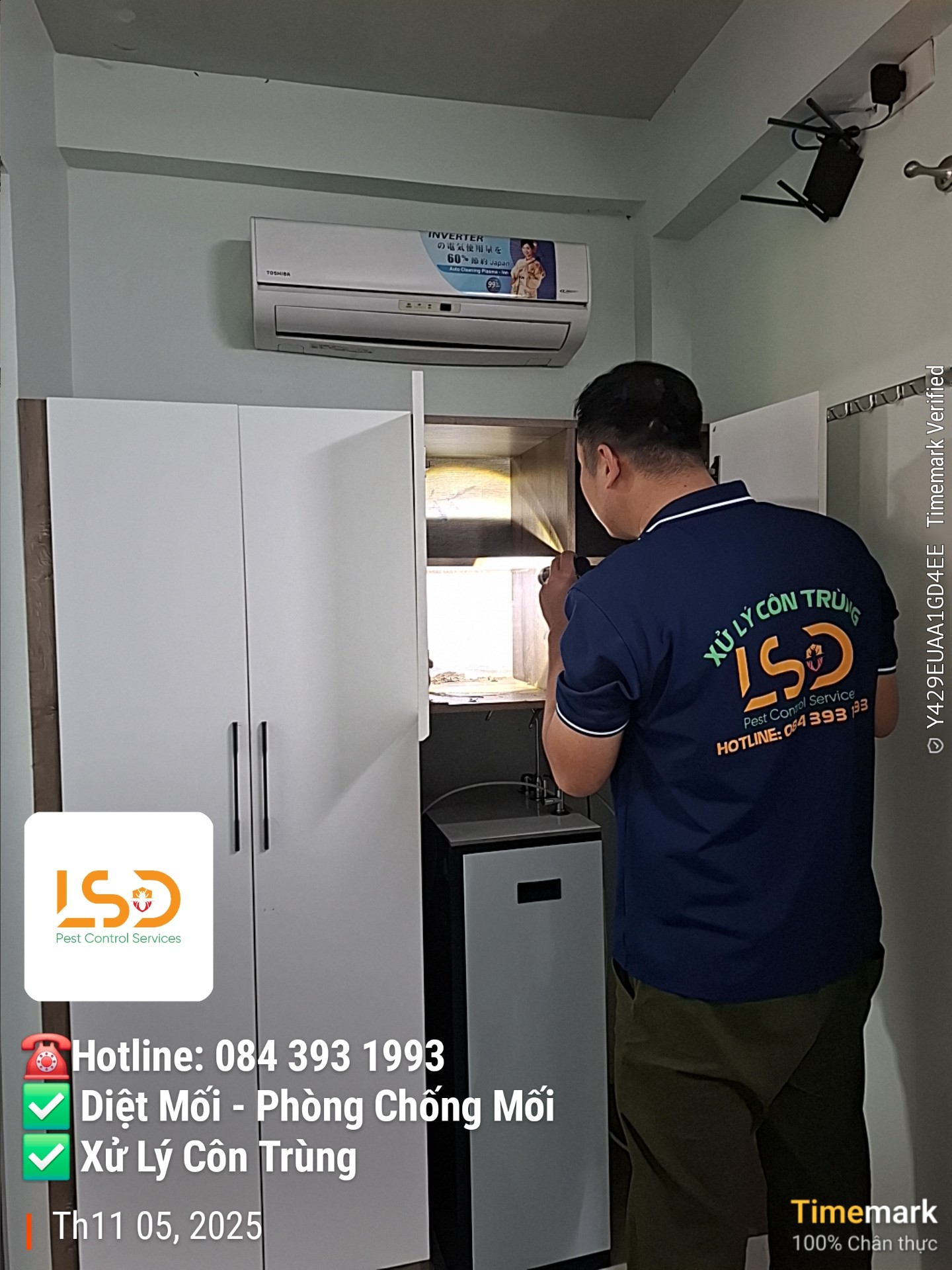 Thi công diệt mối thực tế tại Tiền Giang