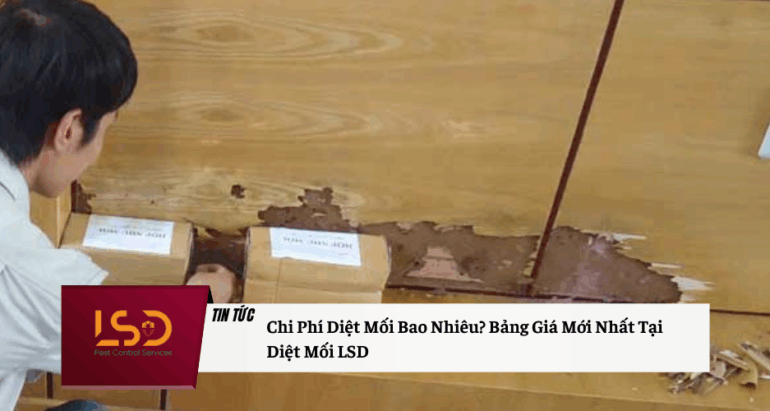 Chi Phí Diệt Mối Bao Nhiêu? Bảng Giá Mới Nhất Tại Diệt Mối LSD – Hotline: 084 393 1993