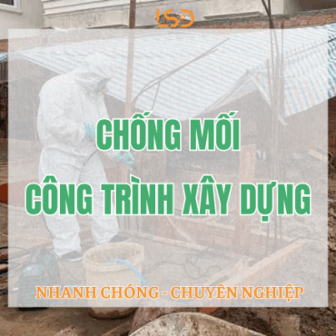 Chống, diệt mối công trình xây dựng