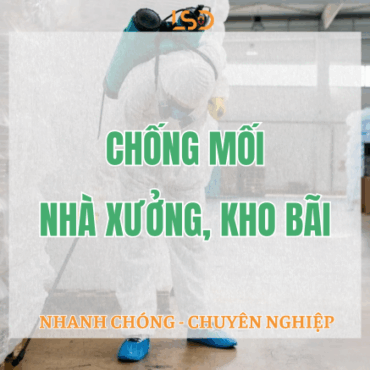 Chống mối nhà xưởng, kho bãi
