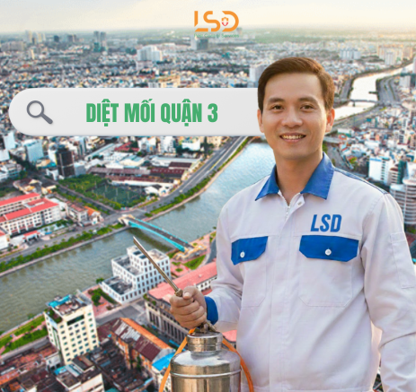 Dịch Vụ Diệt Mối Tại Quận 3 Tận Gốc