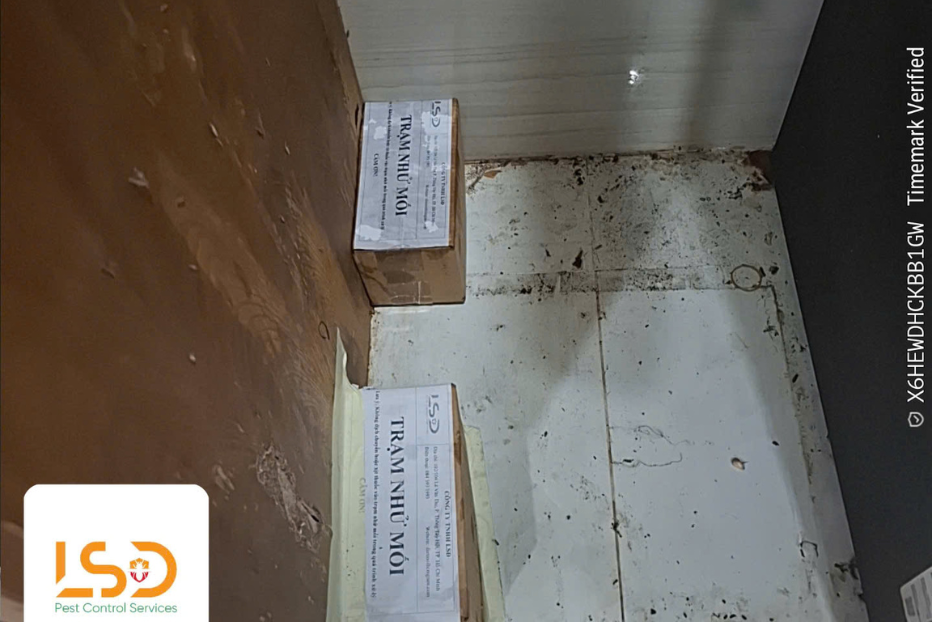 Sàn gỗ phồng rộp và được bảo vệ sau xử lý