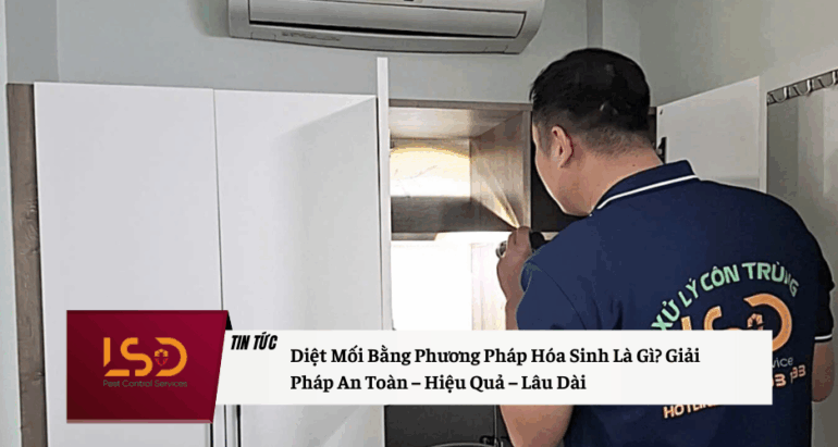 Diệt Mối Bằng Phương Pháp Hóa Sinh Là Gì? Giải Pháp An Toàn – Hiệu Quả – Lâu Dài