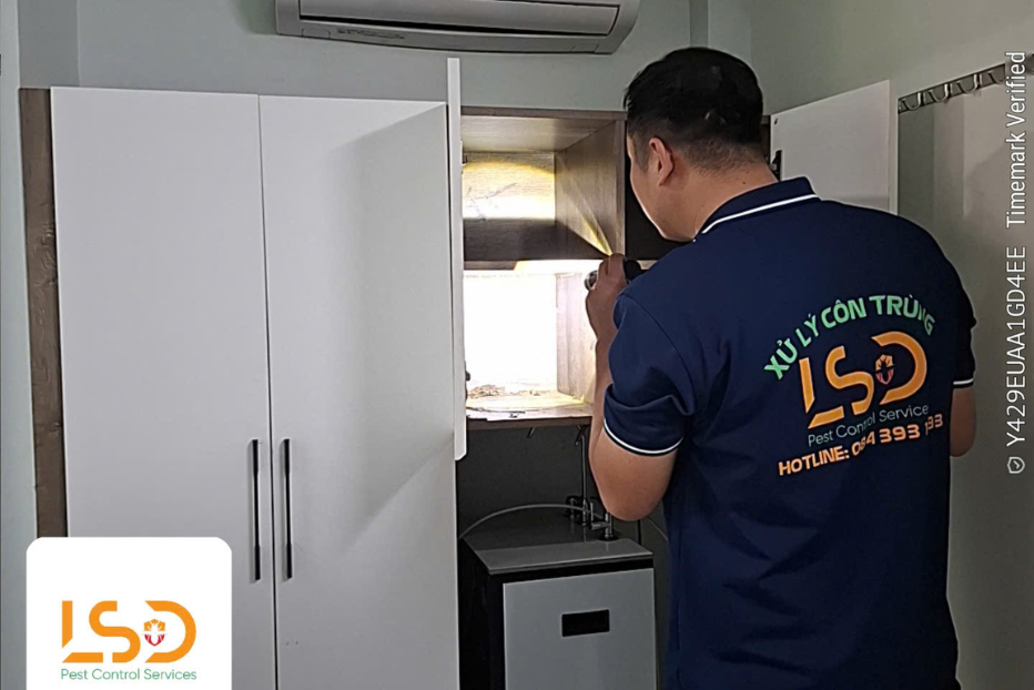 Diệt mối tại chung cư cao cấp