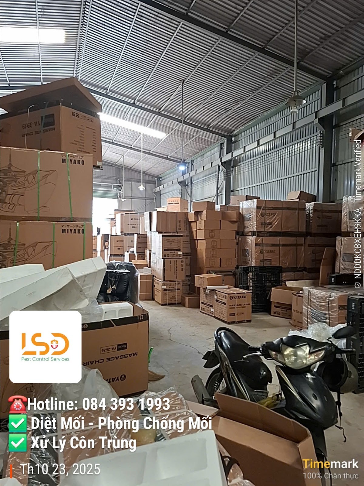 Diệt mối xưởng gỗ Bến Lức