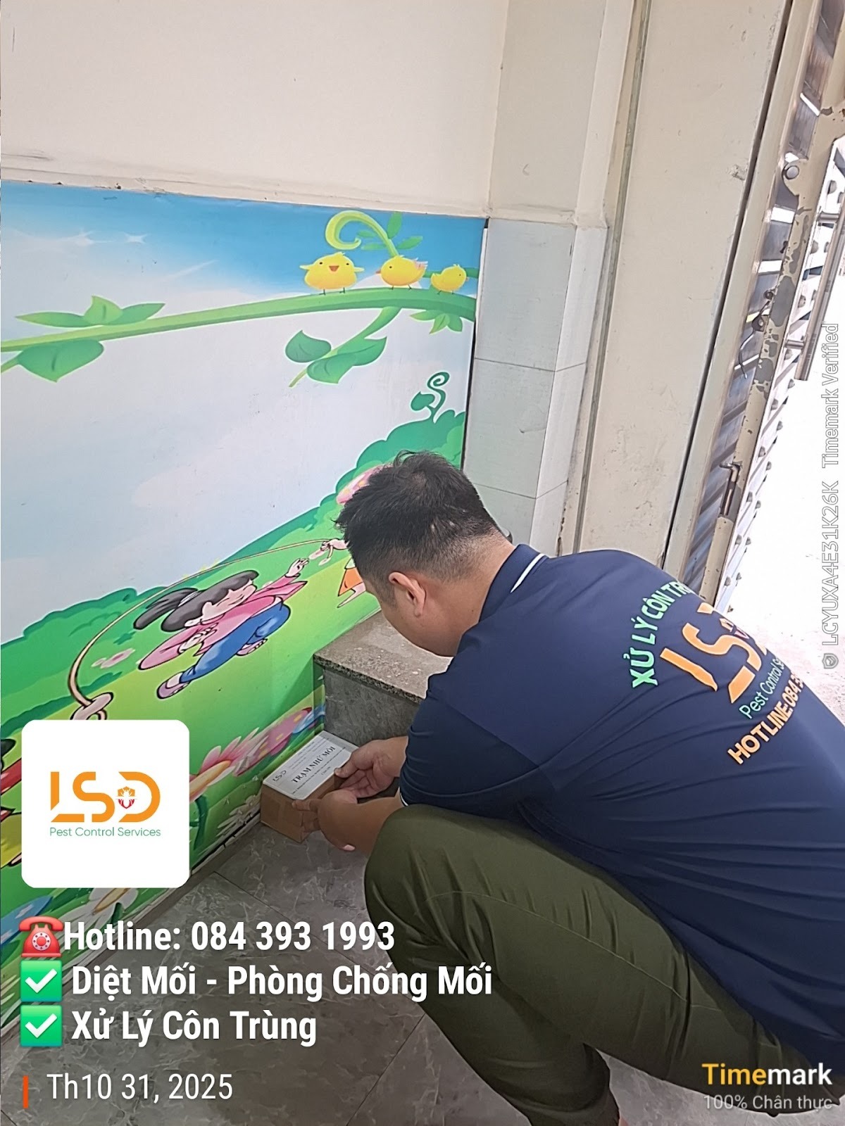 Diệt mối tại nhà phố Gò Vấp