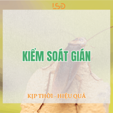 KIỂM SOÁT GIÁN