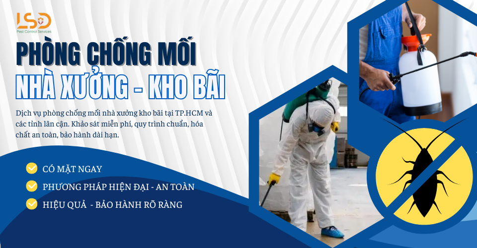 Phòng chống mối kho bãi, nhà xưởng