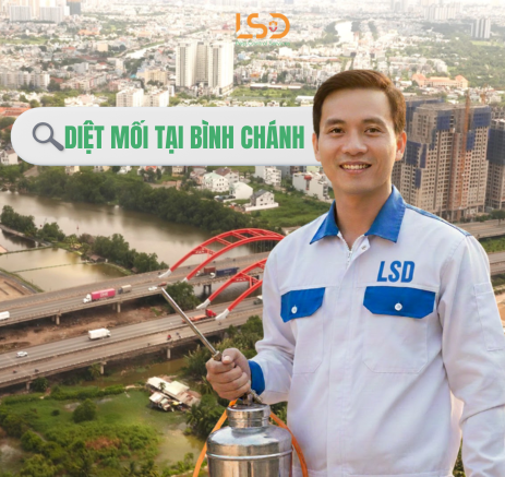 Dịch vụ diệt mối tận gốc tại Bình Chánh