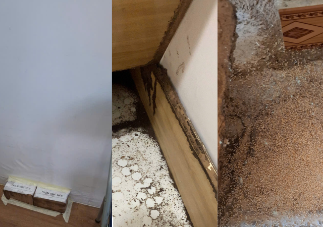 Kiểm tra mối tại căn hộ phường Bến Nghé Quận 1