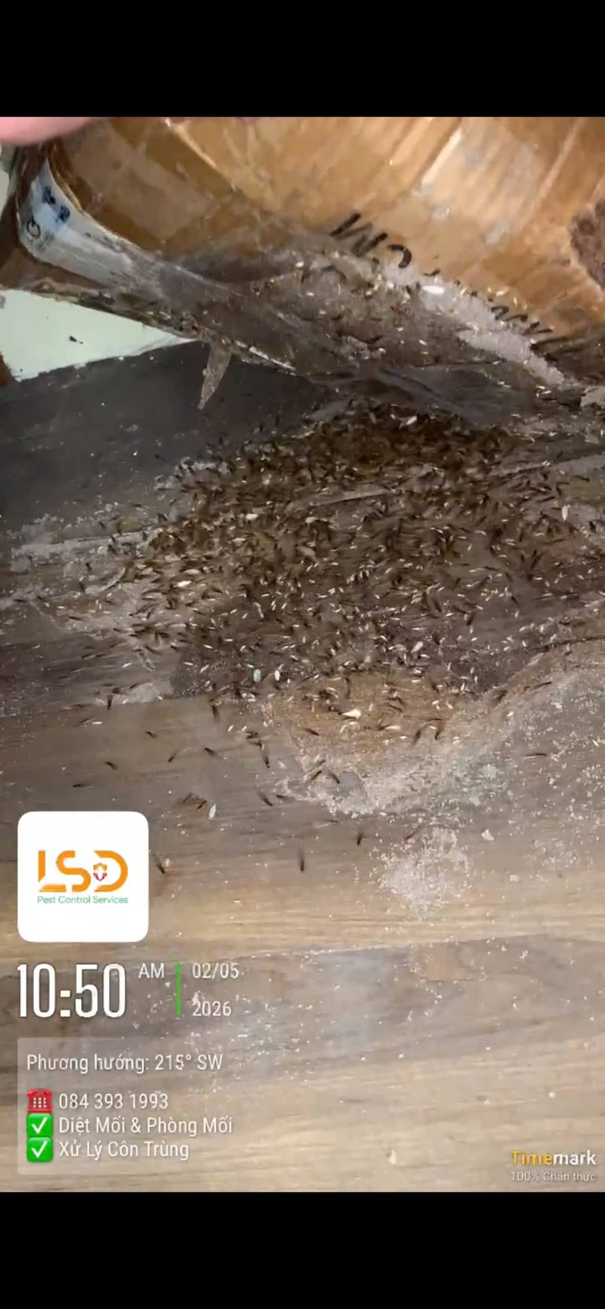 Dấu hiệu mối phá hoại đồ dùng