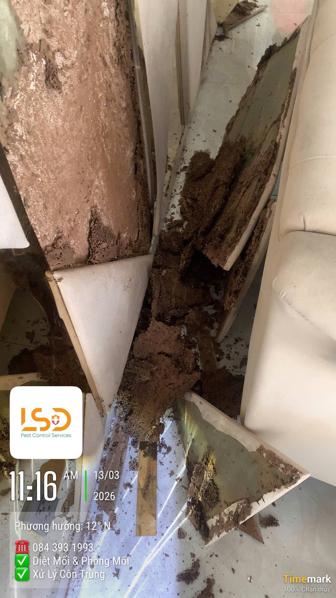Dấu hiệu mối ăn tủ gỗ