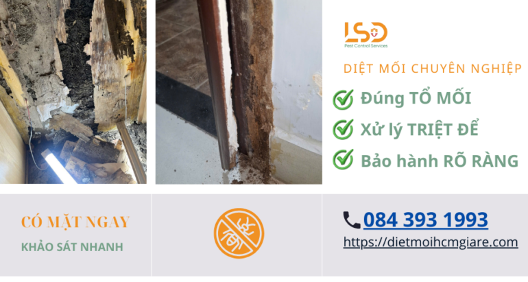 Dịch Vụ Diệt Mối Tại TP.HCM: bắt đúng TỔ MỐI – xử lý TRIỆT ĐỂ – bảo hành RÕ RÀNG