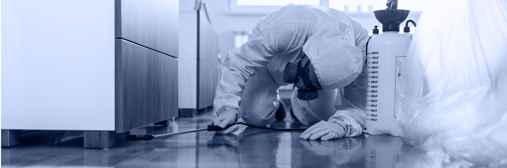 Kỹ thuật viên sử dụng máy định vị sóng âm tại Quận 2