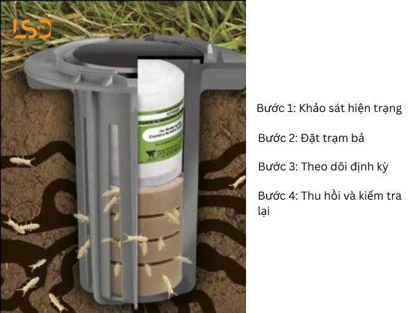 Các bước thiết lập bả chống mối