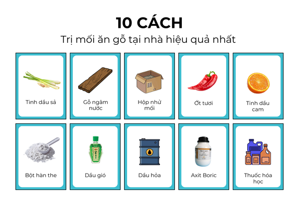 10 Cách trị mối ăn gỗ tại nhà hiệu quả