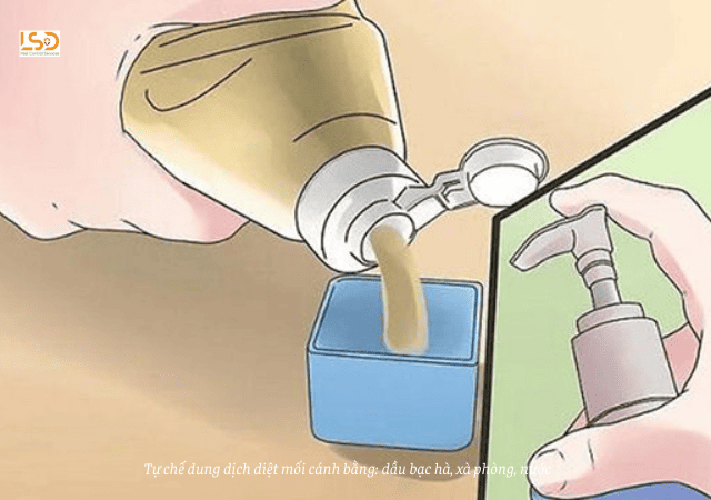 Chế dung dịch diệt mối tại nhà