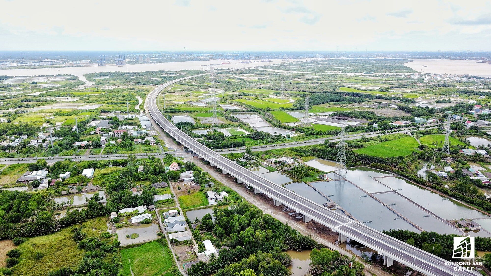 Môi trường ẩm thấp và gỗ bị phá hoại tại Nhà Bè