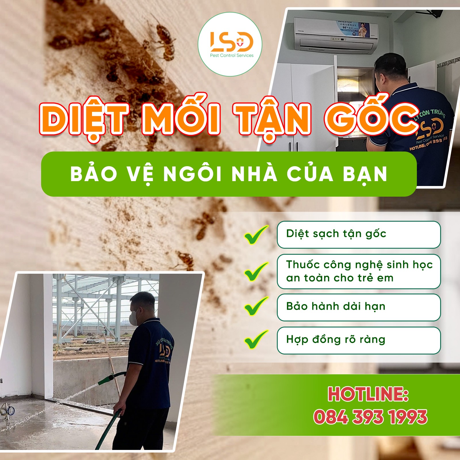 Diệt mối tận gốc bảo vệ ngôi nhà của bạn