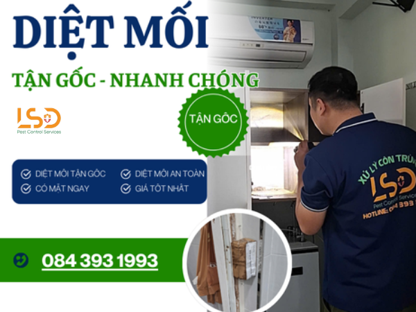 Diệt Mối LSD cung cấp dịch vụ chống mối công trình, diệt mối chuyên nghiệp, giá tốt nhất