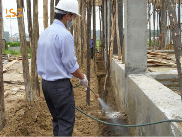 Dùng hóa chất chống mối