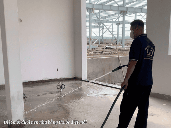 Dùng thuốc diệt mối trị mối dưới nền nhà