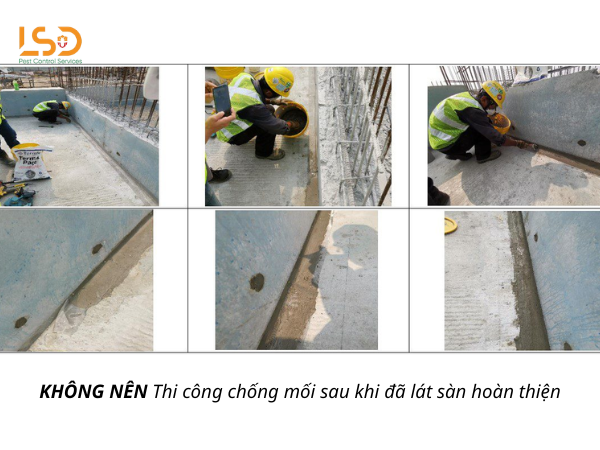 Lưu ý khi thi công chống mối công trình 