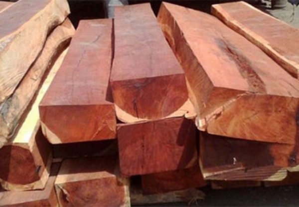 Ngâm gỗ dưới nước đủ lâu có hiệu quả phòng mối mọt