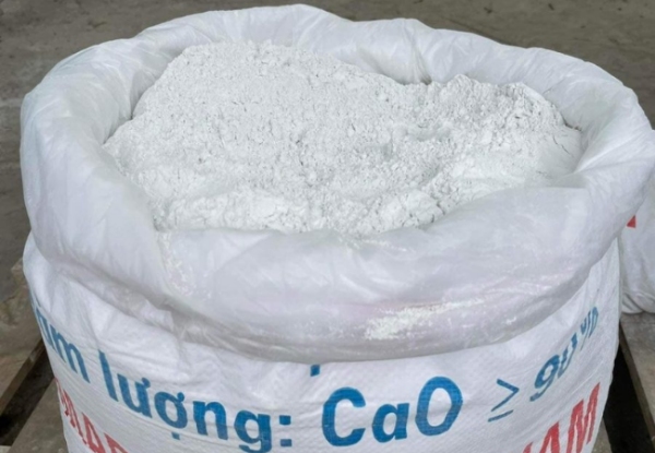 Phòng mối diệt côn trùng bằng vôi