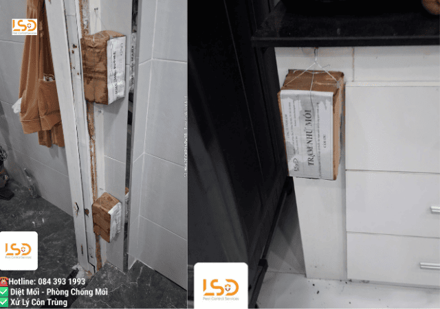 Đặt hộp nhử mối tại văn phòng Lê Duẩn Quận 1