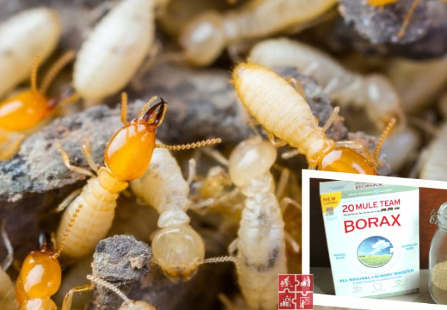 Borax (Natri borat) là hợp chất tự nhiên