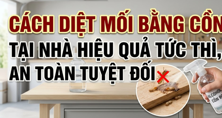 Cách Diệt Mối Bằng Cồn Tại Nhà Hiệu Quả Tức Thì, An Toàn Tuyệt Đối