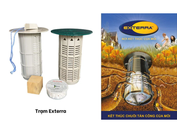 Diệt mối chúa áp dụng công nghệ Mỹ